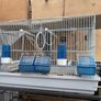 small bird cage Image 2