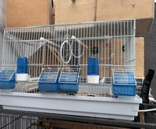 small bird cage
