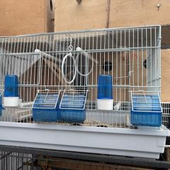 small bird cage