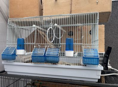 small bird cage