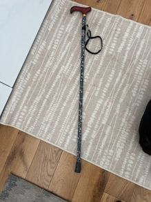 walking stick