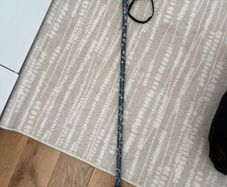 walking stick