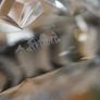 Waterford Crystal Cut Whisky Tumblers - Set of 6 Image 4