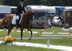 Dressage Arena Boards and markers