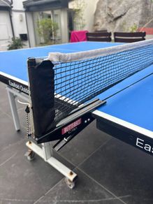Butterfly Rollaway Outdoor table tennis table