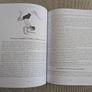 Mastering Vinyasa Yoga - Raji Thron - Yoga Sequencing & Teacher Training Image 5