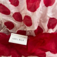 100% Silk Scarf