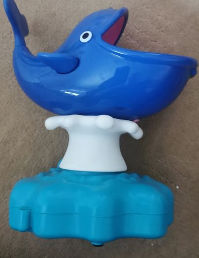 splashy the whale