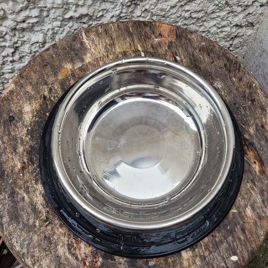 large dog bowl