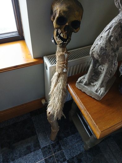 Halloween/fancy dress costume
