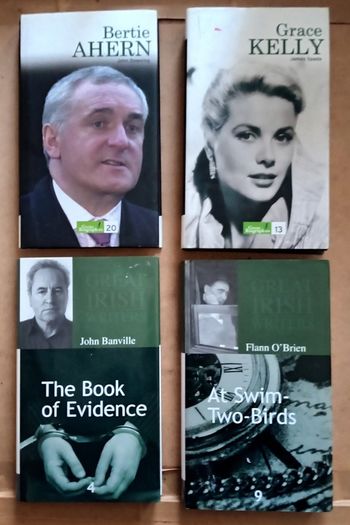 Fourteen Irish Interest Books