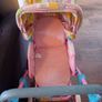 baby born buggy Image 2