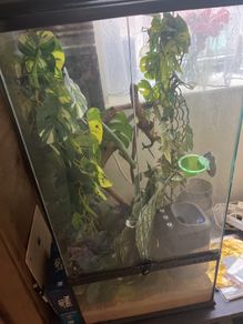 Exo Terra Terrarium 90x45cmx45cm