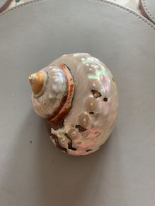 Shell
