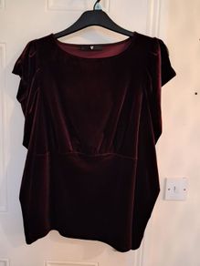 Ladies top