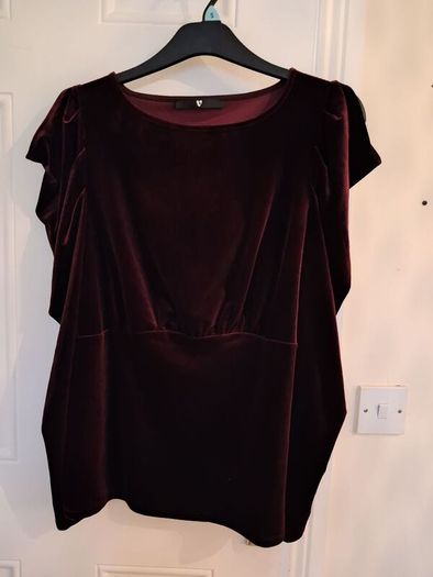 Ladies top