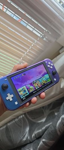 Nintendo switch lite+ game's