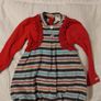 Designer Krickets Dress Image 3