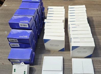 MOES RF Wireless Smart Switches Kinetic