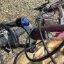 Carerra Endeavour ladies mountain bike Image 2