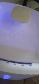 pet water fountain