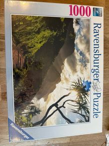 1000 piece ravensburger jigsaw