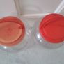 Arts and Crafts containers Image 2