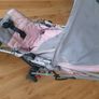 Buggy Image 7