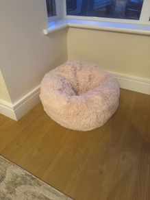 Cat bed