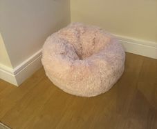Cat bed