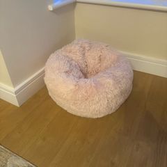 Cat bed