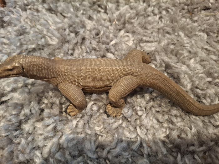 Schleich Komodo Dragon retired