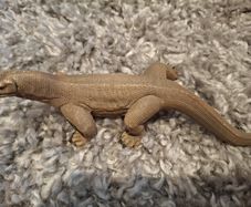 Schleich Komodo Dragon retired