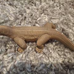 Schleich Komodo Dragon retired