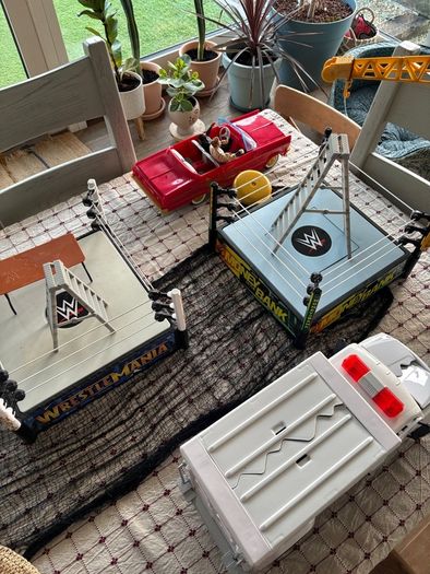 Wwe Toys