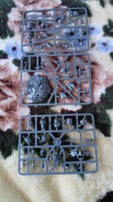Warhammer Marines