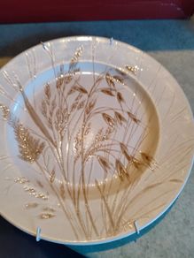 Wild Oats Brown Lovely Hanging Plate  Staffordshire Ironstone Made In England.