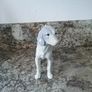 Another Two Dog Figurines Image 5