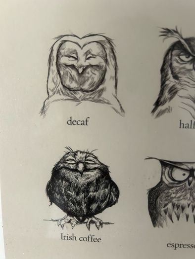 owl print