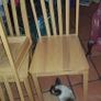 Kitchen Chairs Image 3