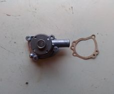 Rover Mini Water Pump.