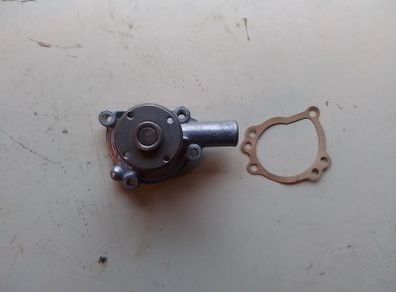Rover Mini Water Pump.