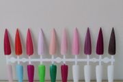 Colour Display Nail Tips 120
