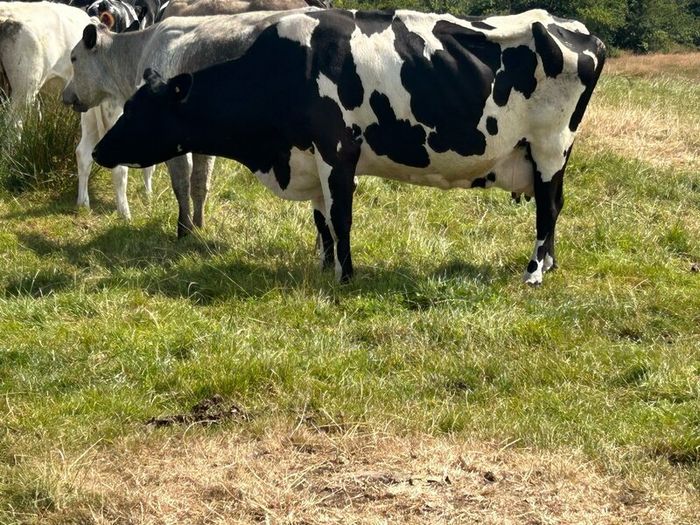 Farming