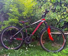 Umit Mirage 70 boys mountain bike