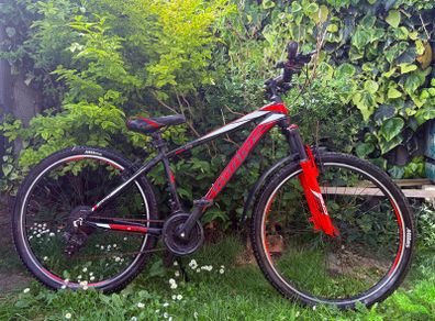 Umit Mirage 70 boys mountain bike