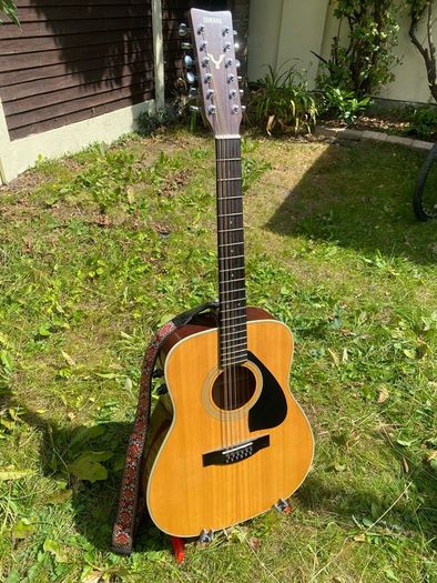 12-String Acoustic Electric Guitar (Yamaha FG420E-12)
