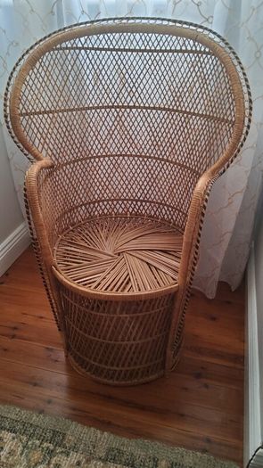 Childrens Peacock Chair