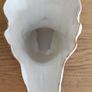 Vintage Belleek New Image 5