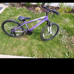 Girls Mountain Bike Verve Monaco 24 inch